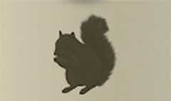 Squirrel silhouette #1