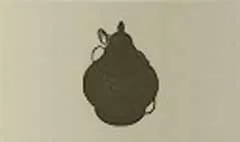 Lantern