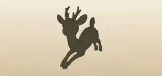 Reindeer