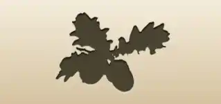 ドングリのシルエット