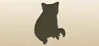 アライグマのシルエット