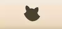 Raccoon