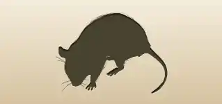 ネズミのシルエット