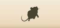 Rat silhouette