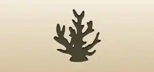 サンゴのシルエット