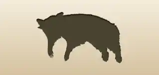 アライグマのシルエット