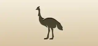 ヒクイドリのシルエット