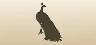 クジャクのシルエット
