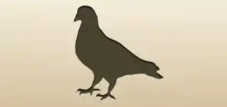 ハトのシルエット