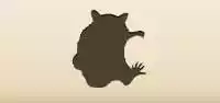 Raccoon