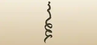 規制テープのシルエット