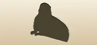 スカンクのシルエット