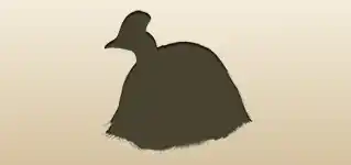 ヒクイドリのシルエット