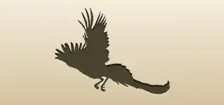 クジャクのシルエット