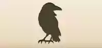 Crow