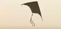 Kite