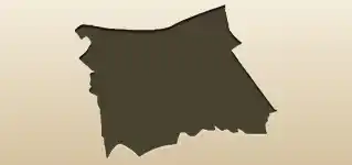 新聞