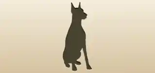 イヌ