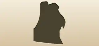イヌ