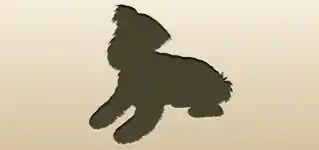 イヌ
