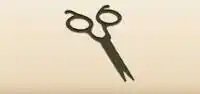 Scissors