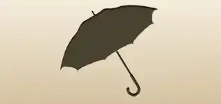 かさ