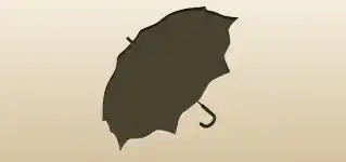 かさ