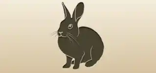 うさぎ