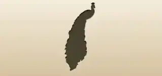 クジャク