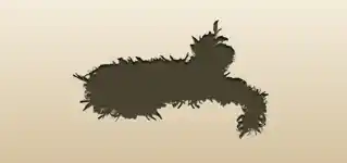 ボアの襟巻き
