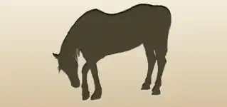 ウマ