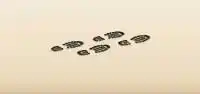Shoeprints silhouette