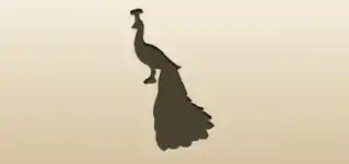 クジャク