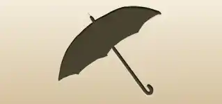 かさ
