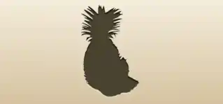パイナップル