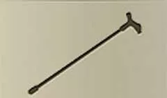 Walking Stick