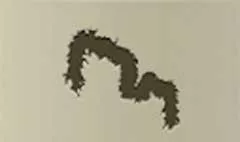 Feather Boa