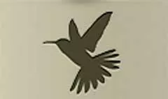 Hummingbird