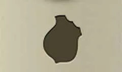 Police Badge
