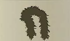 Feather Boa