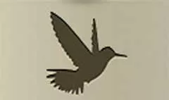 Hummingbird