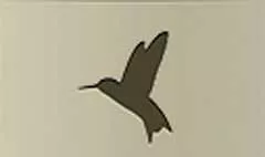 Hummingbird