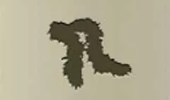 Feather Boa
