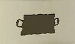 Tray