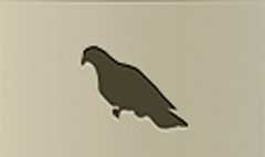 Pigeon silhouette