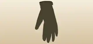 Glove