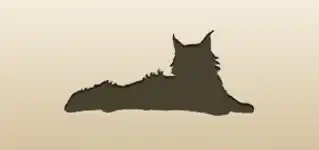 Maine Coon Cat