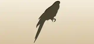 Parrot
