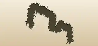 Feather Boa