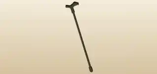 Walking Stick